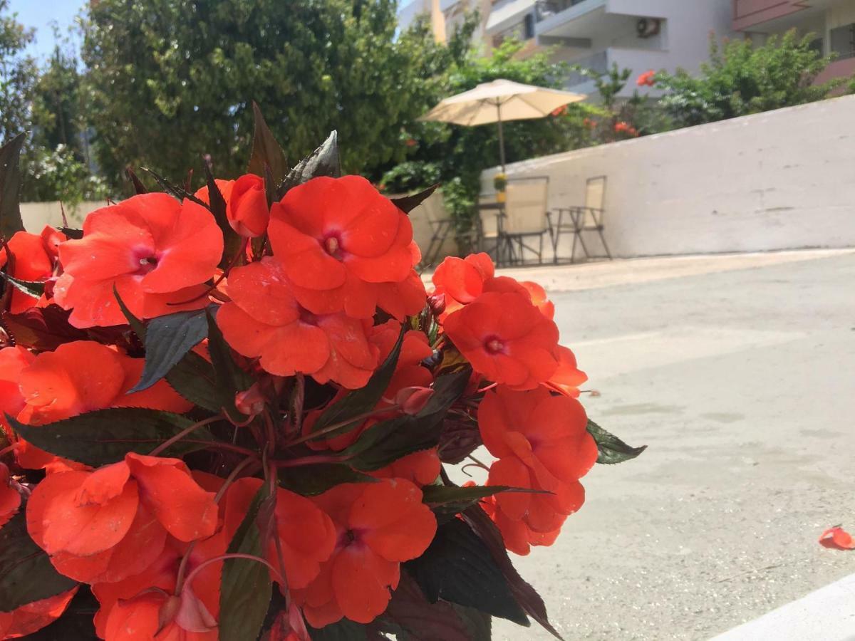 Renovated Apt 100M From Beach Wifi Ac Anavyssos Exteriér fotografie